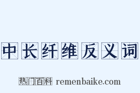 中长纤维反义词是什么意思的图片
